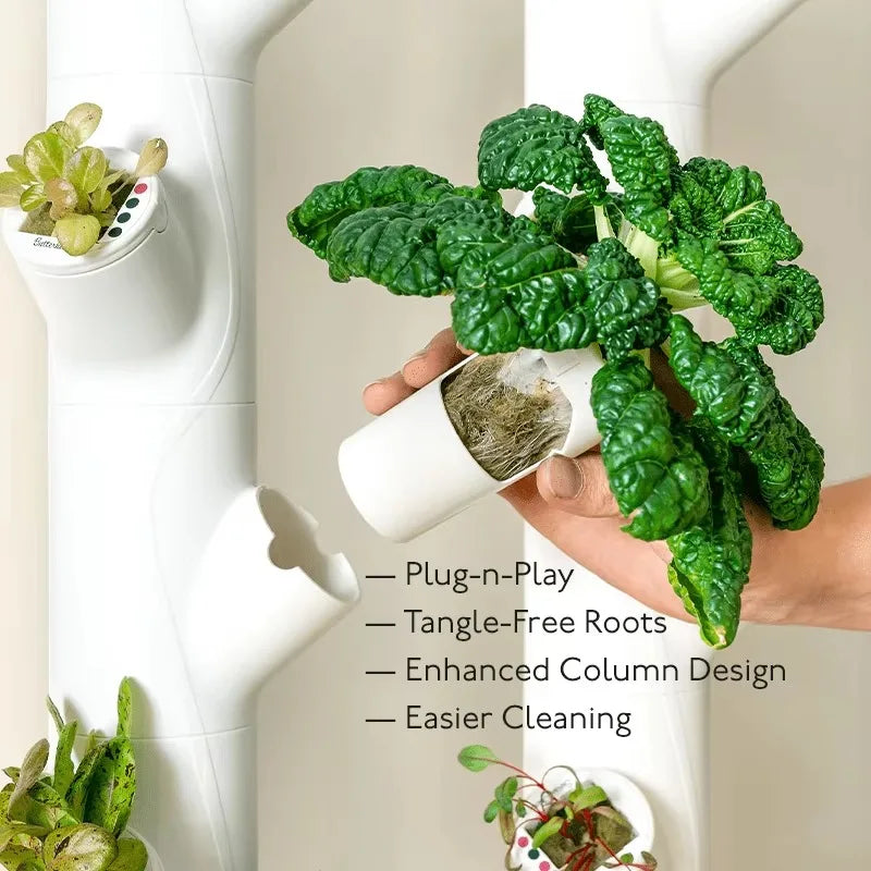 FloatRoot Hydroponics