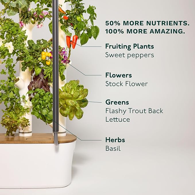 FloatRoot Hydroponics