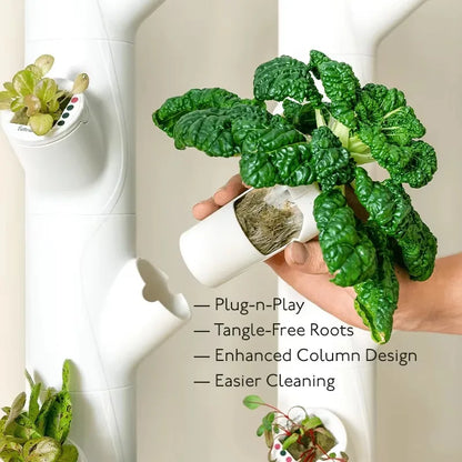 FloatRoot Hydroponics