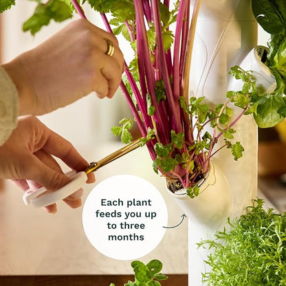 FloatRoot Hydroponics